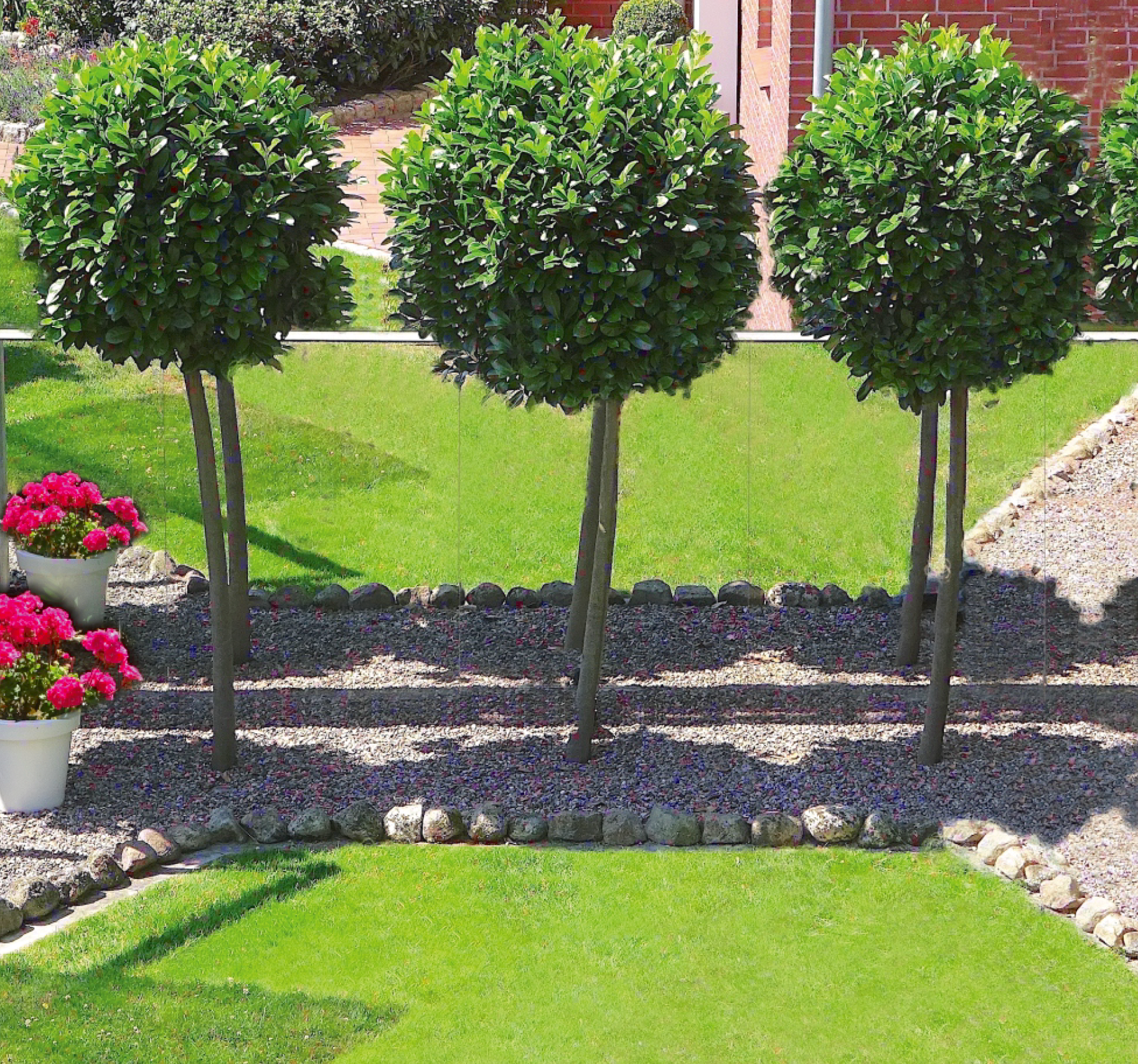 Spiegelzaun von EasyMirror. Gartenzaun oder Sichtschutzzaun aus Spiegeln. Garten verdoppeln mit EasyMirror Spiegeln